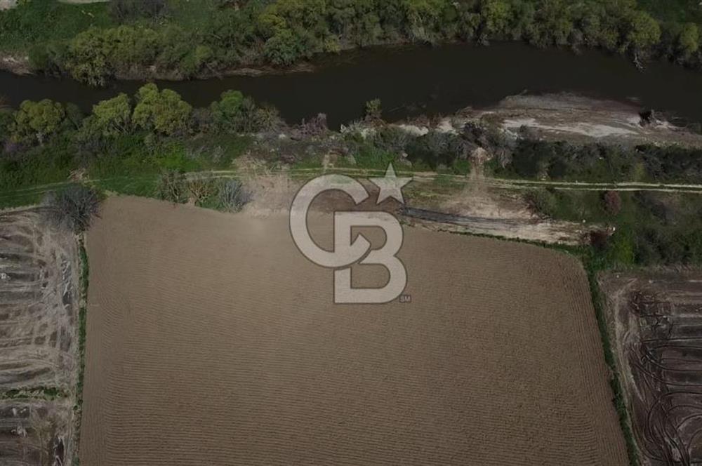 CB Leader'dan Manyas Kızıkta 3124 m² K. Tavukhane ve Tarla