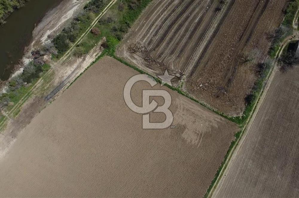 CB Leader'dan Manyas Kızıkta 3124 m² K. Tavukhane ve Tarla