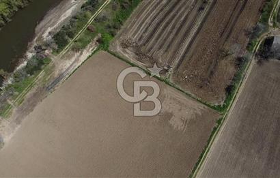 CB Leader'dan Manyas Kızıkta 3124 m² K. Tavukhane ve Tarla