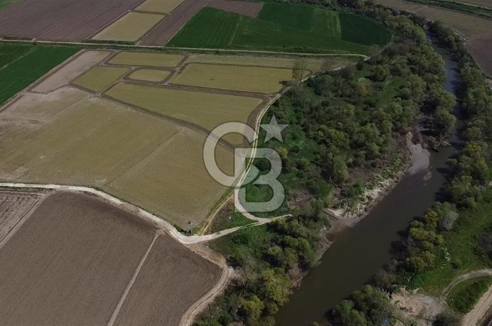 Manyas Çayına Komşu Ulaşımı Kolay Sulak Tarla