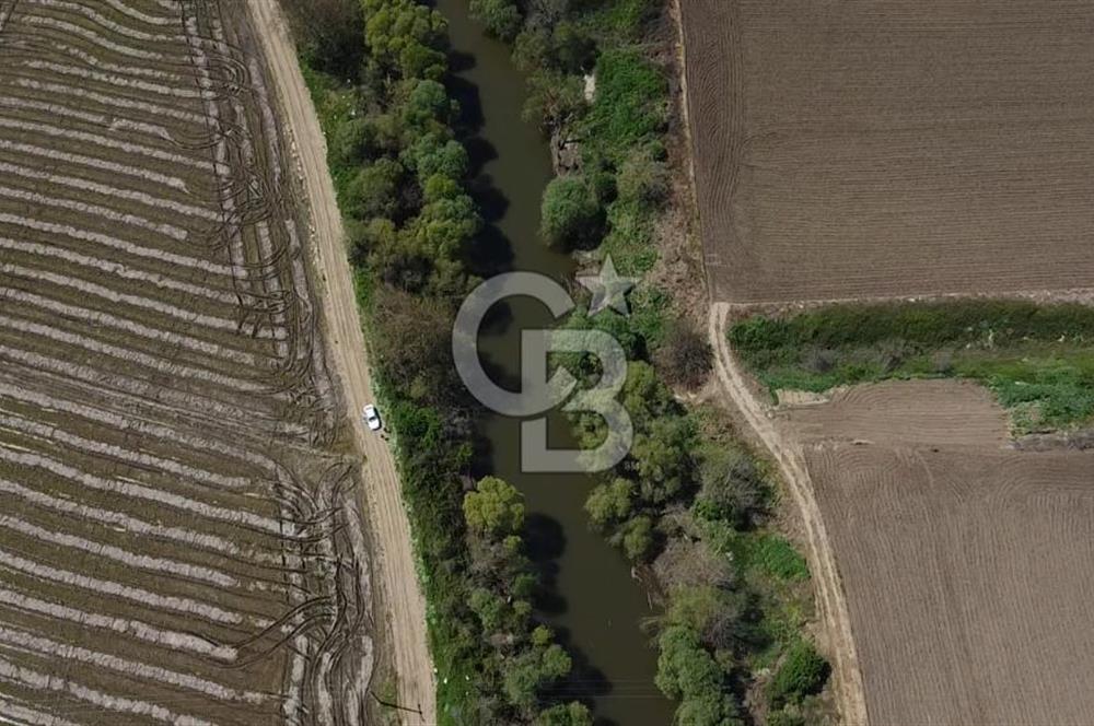 Manyas Çayına Komşu Ulaşımı Kolay Sulak Tarla