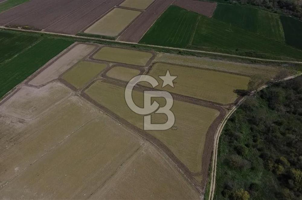 Manyas Çayına Komşu Ulaşımı Kolay Sulak Tarla