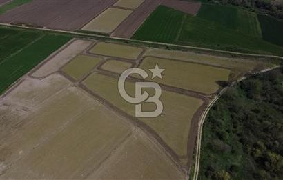 Manyas Çayına Komşu Ulaşımı Kolay Sulak Tarla