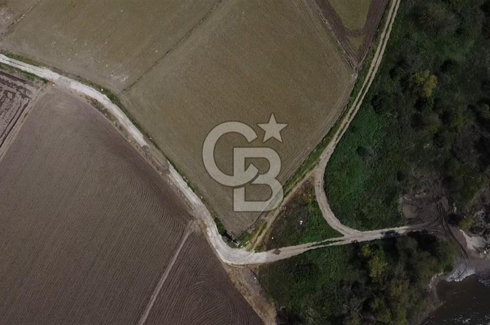 Manyas Çayına Komşu Ulaşımı Kolay Sulak Tarla