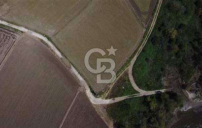Manyas Çayına Komşu Ulaşımı Kolay Sulak Tarla