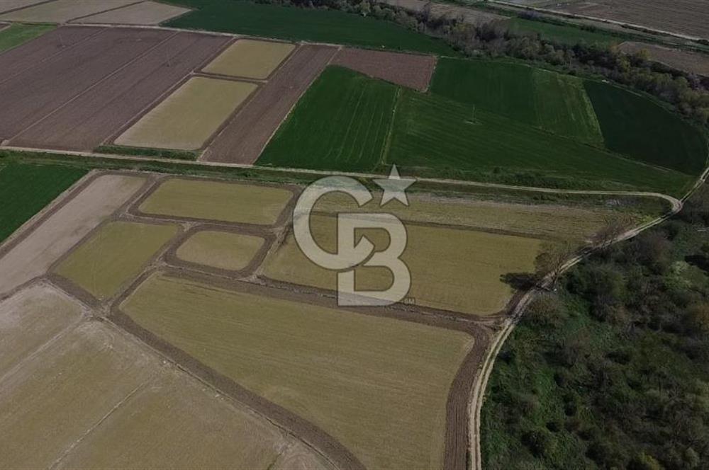 Manyas Çayına Komşu Ulaşımı Kolay Sulak Tarla