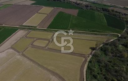 Manyas Çayına Komşu Ulaşımı Kolay Sulak Tarla
