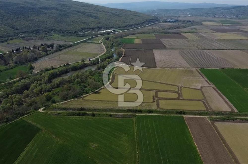 Manyas Çayına Komşu Ulaşımı Kolay Sulak Tarla