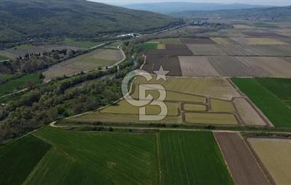 Manyas Çayına Komşu Ulaşımı Kolay Sulak Tarla