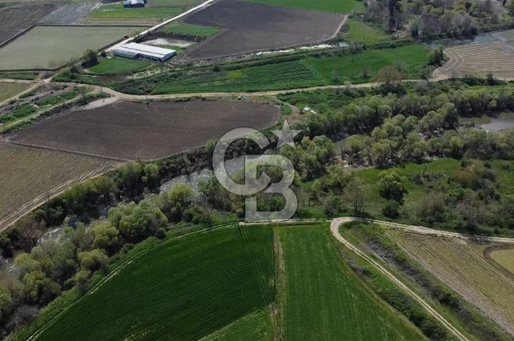 Manyas Çayına Komşu Ulaşımı Kolay Sulak Tarla