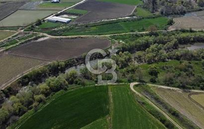 Manyas Çayına Komşu Ulaşımı Kolay Sulak Tarla