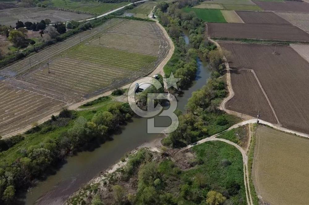 Manyas Çayına Komşu Ulaşımı Kolay Sulak Tarla