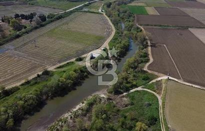 Manyas Çayına Komşu Ulaşımı Kolay Sulak Tarla