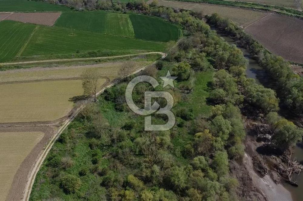 Manyas Çayına Komşu Ulaşımı Kolay Sulak Tarla