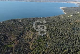 Cb Leader'dan Edincik'te Denize 200m Bakımlı Zeytinlik - 2 - 344019