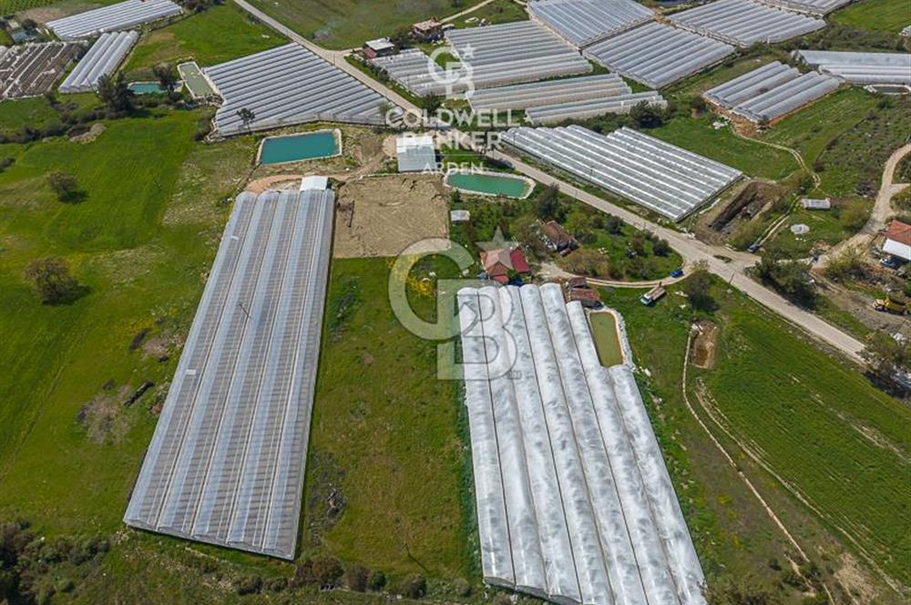 CB ARDENDEN KAŞ DiRGENLER DE SATILIK MÜSTAKiL EV VE SERA