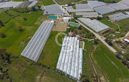 CB ARDENDEN KAŞ DiRGENLER DE SATILIK MÜSTAKiL EV VE SERA