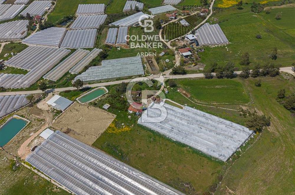 CB ARDENDEN KAŞ DiRGENLER DE SATILIK MÜSTAKiL EV VE SERA