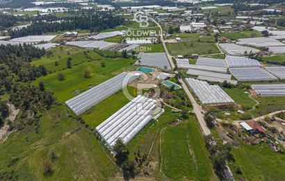 CB ARDENDEN KAŞ DiRGENLER DE SATILIK MÜSTAKiL EV VE SERA