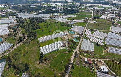 CB ARDENDEN KAŞ DiRGENLER DE SATILIK MÜSTAKiL EV VE SERA