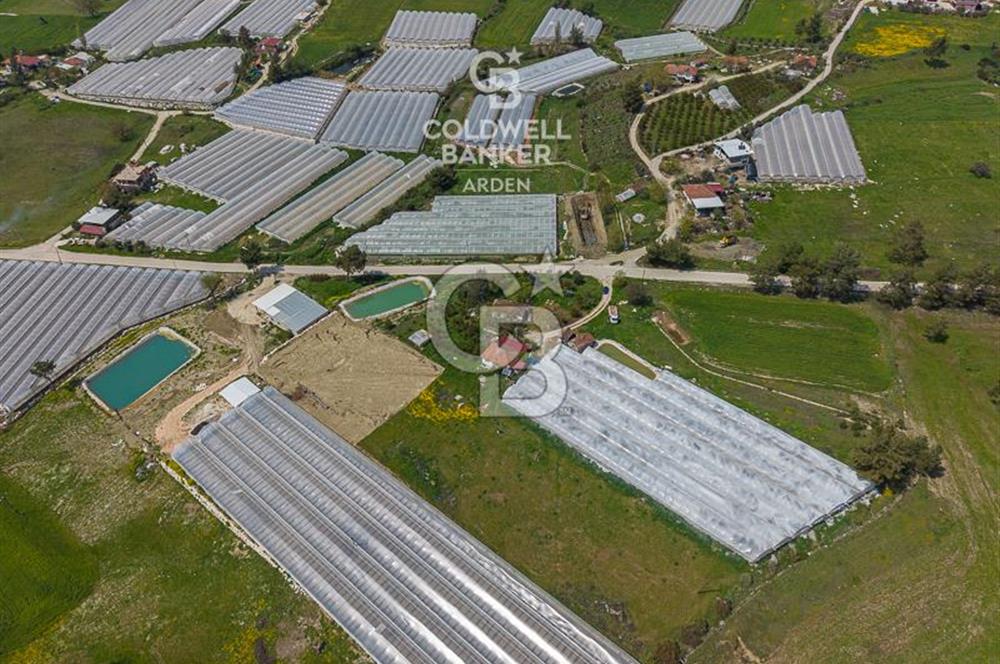 CB ARDENDEN KAŞ DiRGENLER DE SATILIK MÜSTAKiL EV VE SERA