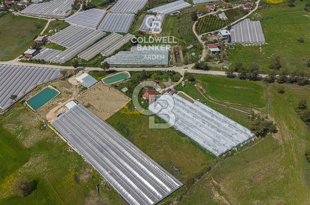 CB ARDENDEN KAŞ DiRGENLER DE SATILIK MÜSTAKiL EV VE SERA