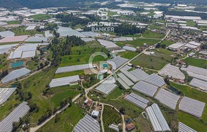 CB ARDENDEN KAŞ DiRGENLER DE SATILIK MÜSTAKiL EV VE SERA