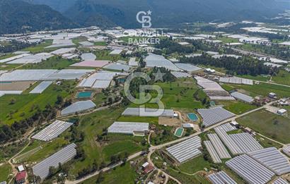 CB ARDENDEN KAŞ DiRGENLER DE SATILIK MÜSTAKiL EV VE SERA