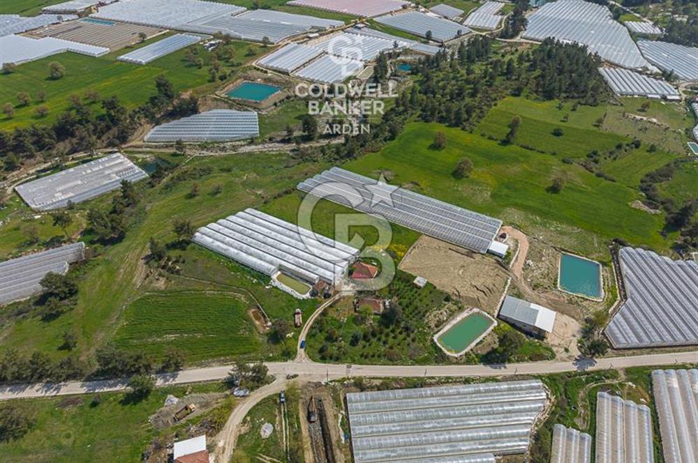 CB ARDENDEN KAŞ DiRGENLER DE SATILIK MÜSTAKiL EV VE SERA