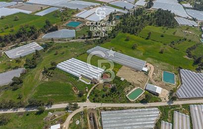 CB ARDENDEN KAŞ DiRGENLER DE SATILIK MÜSTAKiL EV VE SERA