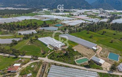 CB ARDENDEN KAŞ DiRGENLER DE SATILIK MÜSTAKiL EV VE SERA