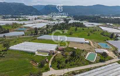 CB ARDENDEN KAŞ DiRGENLER DE SATILIK MÜSTAKiL EV VE SERA