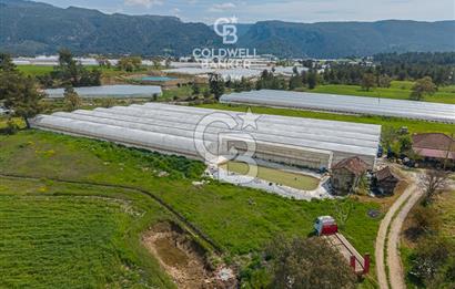 CB ARDENDEN KAŞ DiRGENLER DE SATILIK MÜSTAKiL EV VE SERA