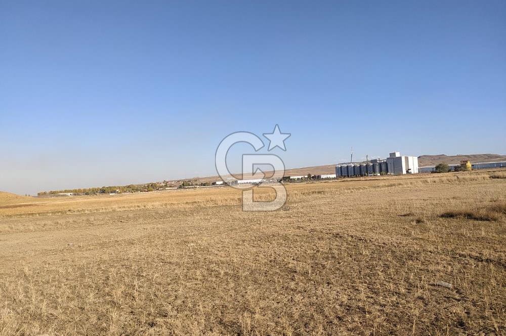 CB ALWAYSDEN POLATLI ESKİŞEHİR YOLU YAKINI VİLLA İMARLI TEK TAPU ARSA