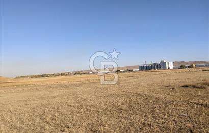 CB ALWAYSDEN POLATLI ESKİŞEHİR YOLU YAKINI VİLLA İMARLI TEK TAPU ARSA