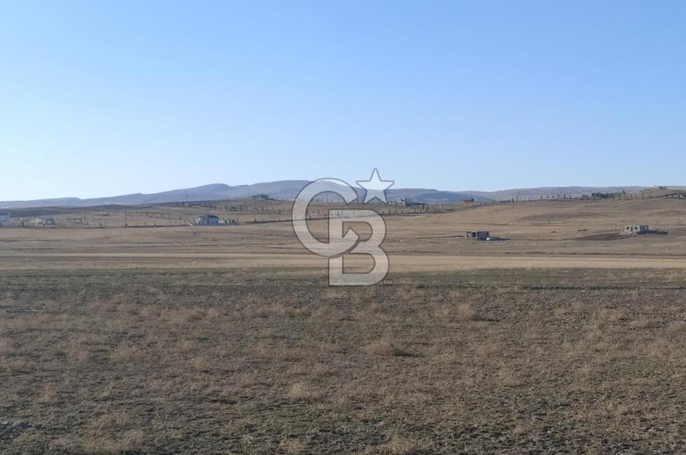 CB ALWAYSDEN POLATLI HACITUĞRUL'DA MÜSTAKİL TEK TAPU ARSA