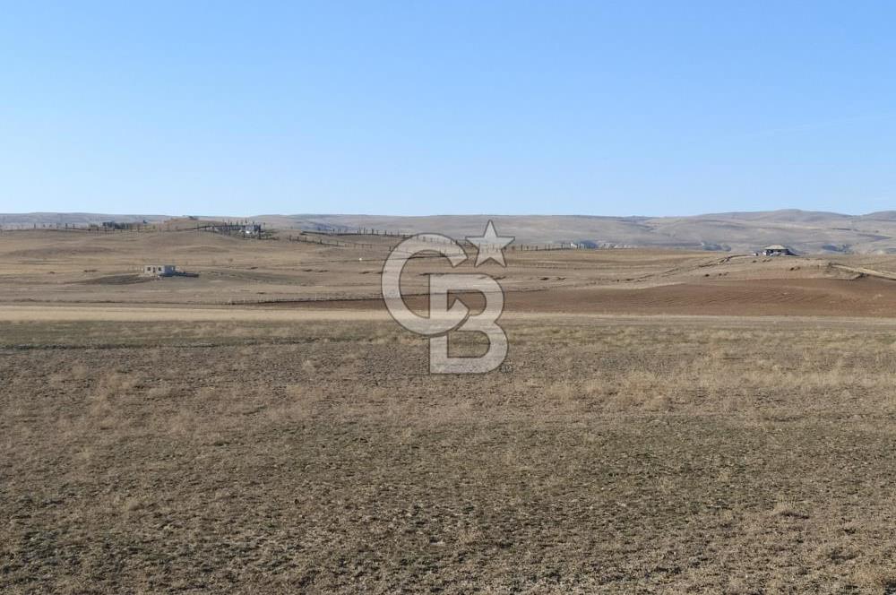 CB ALWAYSDEN POLATLI HACITUĞRUL'DA MÜSTAKİL TEK TAPU ARSA