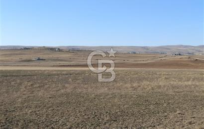 CB ALWAYSDEN POLATLI HACITUĞRUL'DA MÜSTAKİL TEK TAPU ARSA