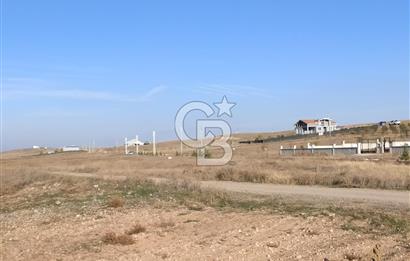 CB ALWAYSDEN POLATLI HACITUĞRUL'DA MÜSTAKİL TEK TAPU ARSA