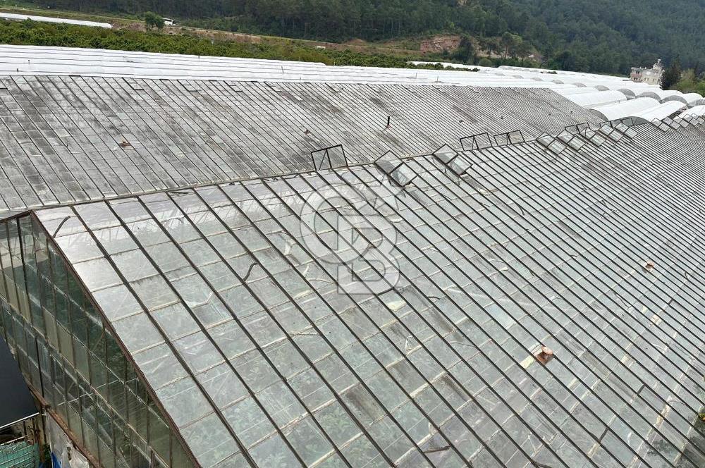 Antalya Kumluca Satılık Üretim Çiftliği 42.500.000 TL