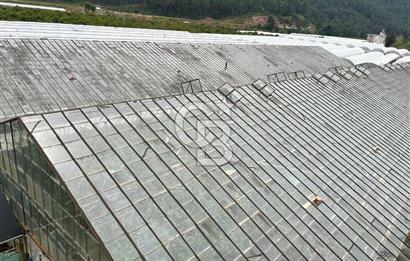 Antalya Kumluca Satılık Üretim Çiftliği 42.500.000 TL