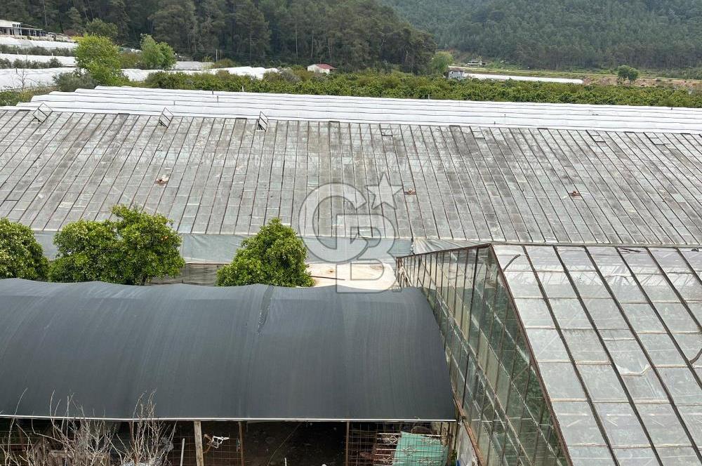 Antalya Kumluca Satılık Üretim Çiftliği 42.500.000 TL