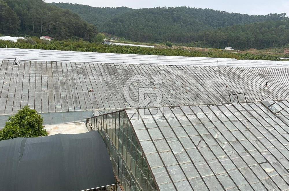 Antalya Kumluca Satılık Üretim Çiftliği 42.500.000 TL