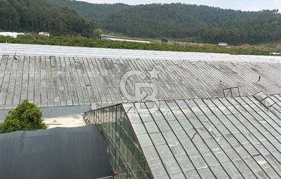Antalya Kumluca Satılık Üretim Çiftliği 42.500.000 TL