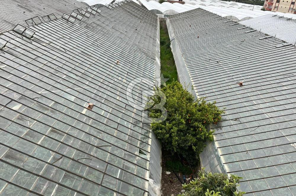 Antalya Kumluca Satılık Üretim Çiftliği 42.500.000 TL