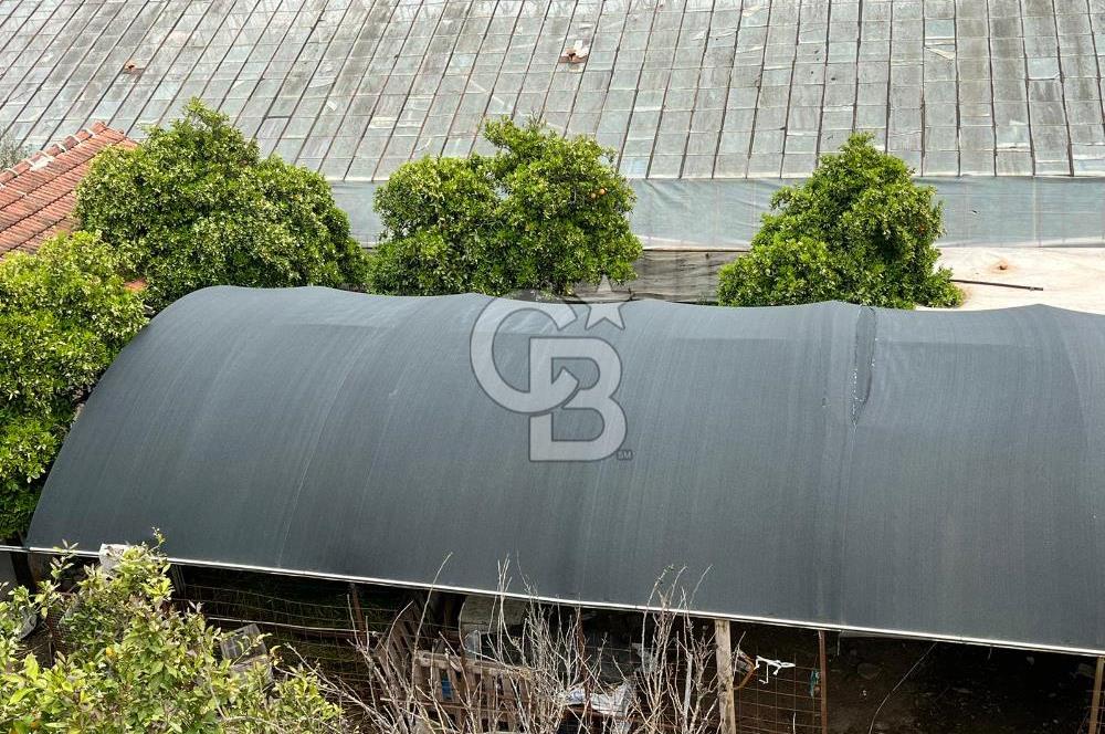 Antalya Kumluca Satılık Üretim Çiftliği 42.500.000 TL