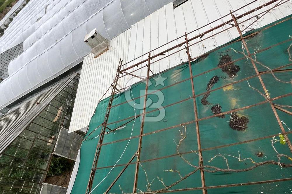 Antalya Kumluca Satılık Üretim Çiftliği 42.500.000 TL