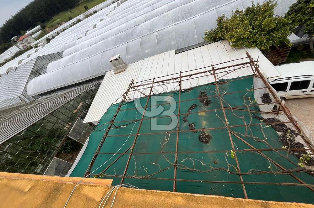 Antalya Kumluca Satılık Üretim Çiftliği 42.500.000 TL