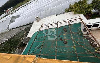 Antalya Kumluca Satılık Üretim Çiftliği 42.500.000 TL