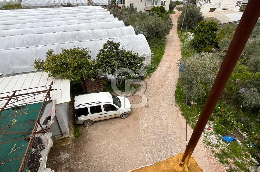 Antalya Kumluca Satılık Üretim Çiftliği 42.500.000 TL